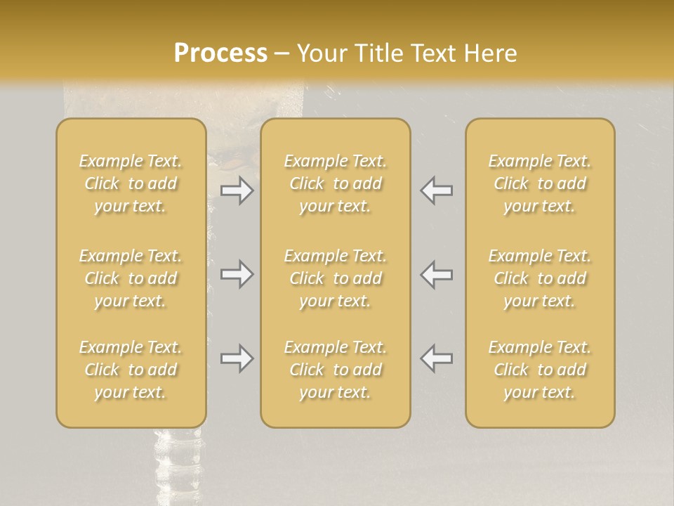 Liquor Garnish Ice PowerPoint Template
