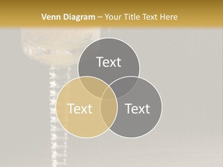 Liquor Garnish Ice PowerPoint Template