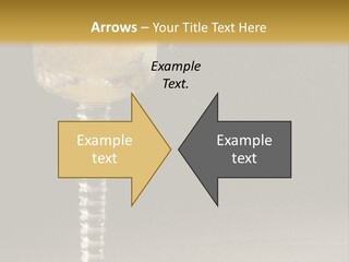 Liquor Garnish Ice PowerPoint Template