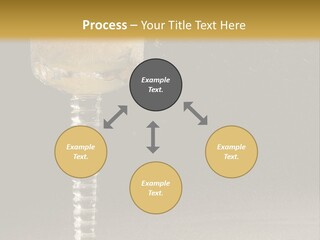 Liquor Garnish Ice PowerPoint Template