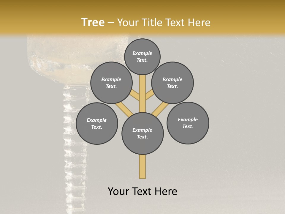 Liquor Garnish Ice PowerPoint Template