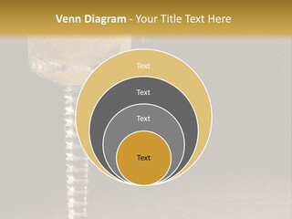 Liquor Garnish Ice PowerPoint Template