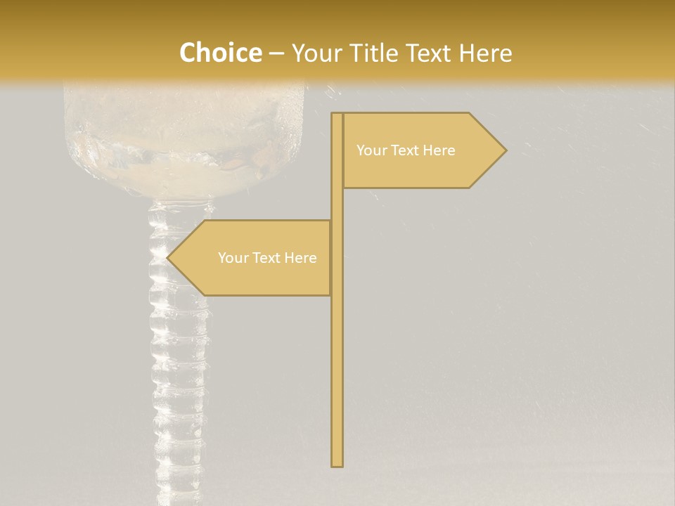 Liquor Garnish Ice PowerPoint Template