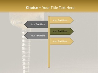 Liquor Garnish Ice PowerPoint Template