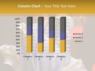 Skin Hairstyle Clean PowerPoint Template