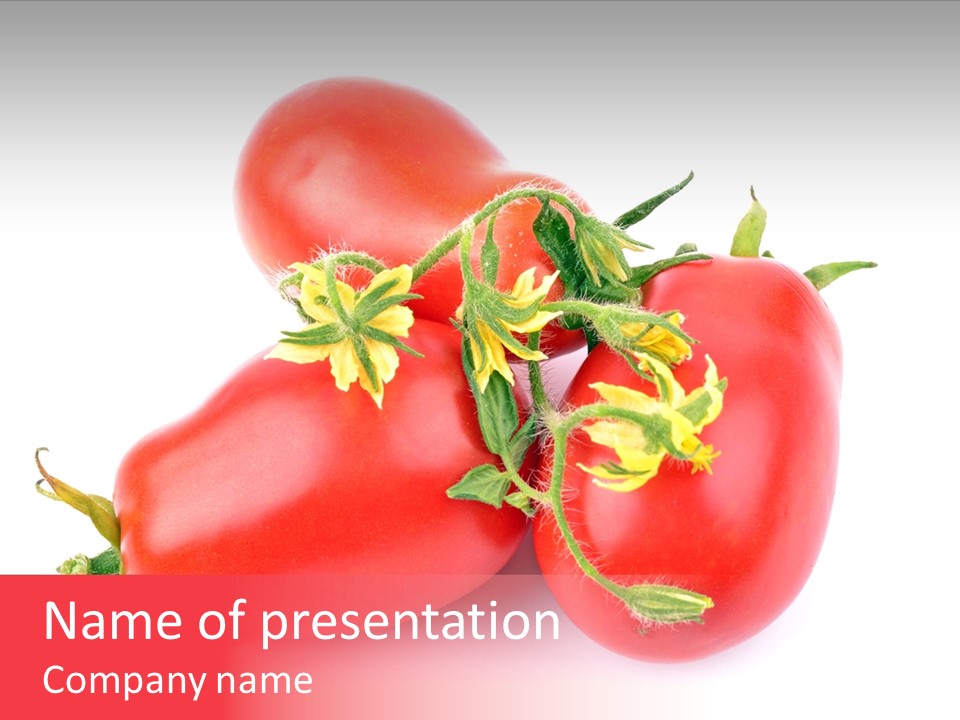 Freshness Cultivate Eat PowerPoint Template