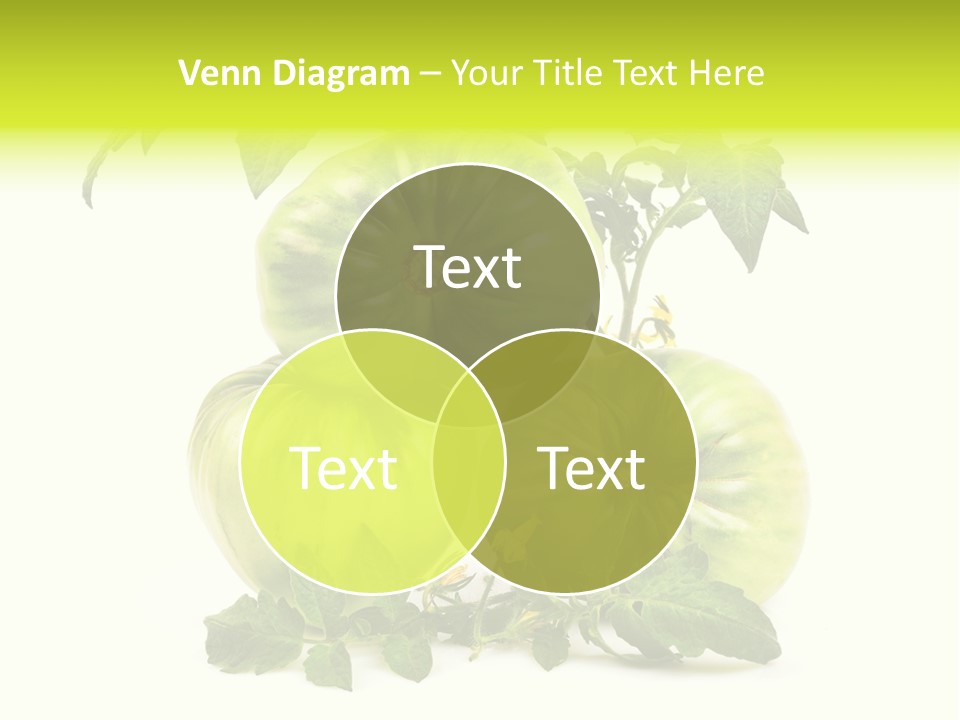 Seasonal Cocktail Cultivate PowerPoint Template