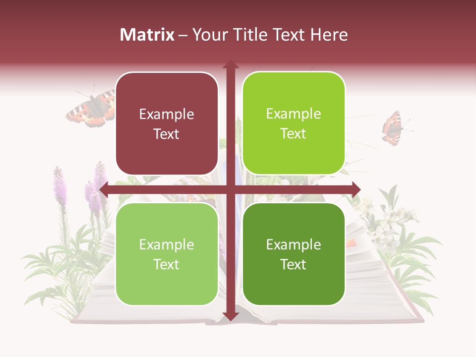 Tale School Educate PowerPoint Template