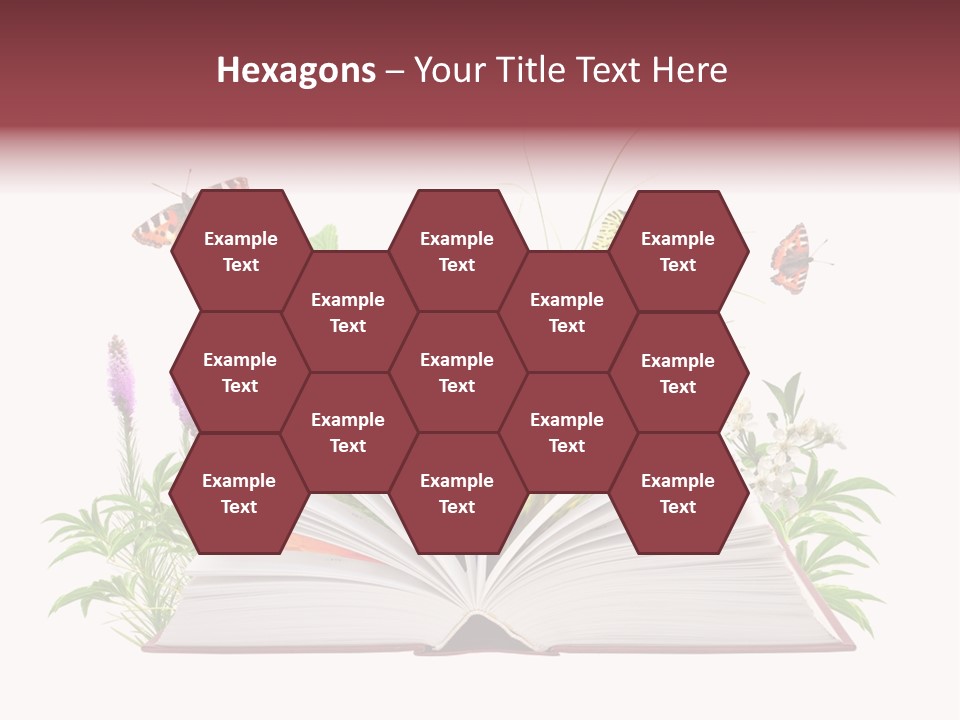 Tale School Educate PowerPoint Template