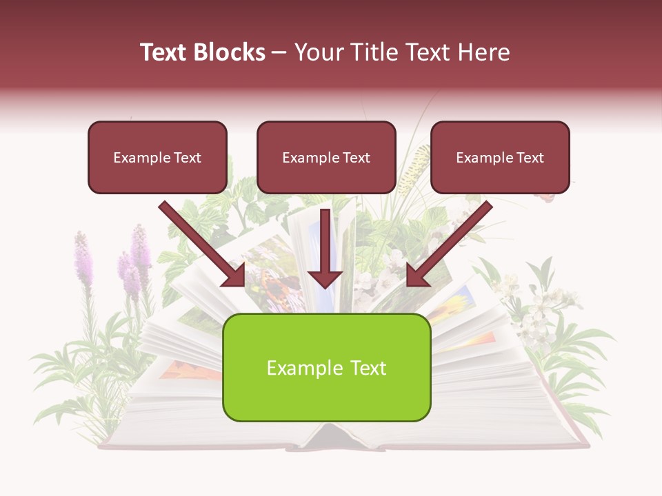 Tale School Educate PowerPoint Template