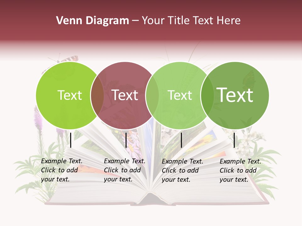 Tale School Educate PowerPoint Template