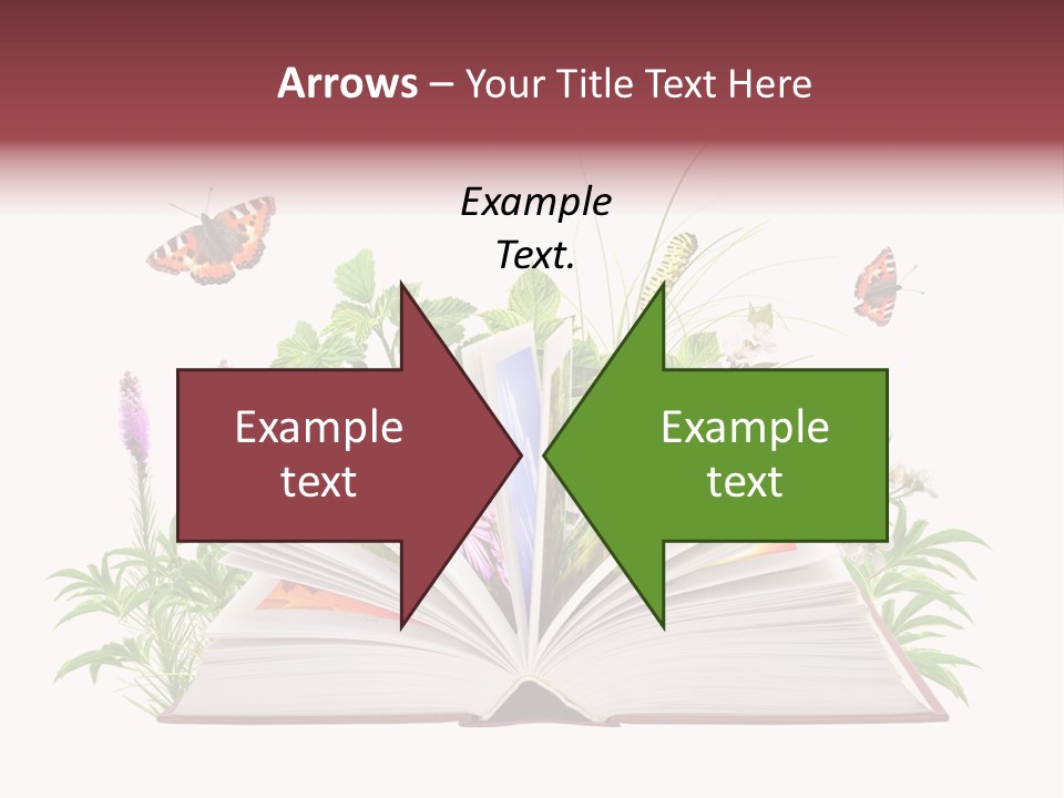 Tale School Educate PowerPoint Template