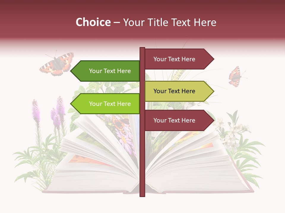 Tale School Educate PowerPoint Template
