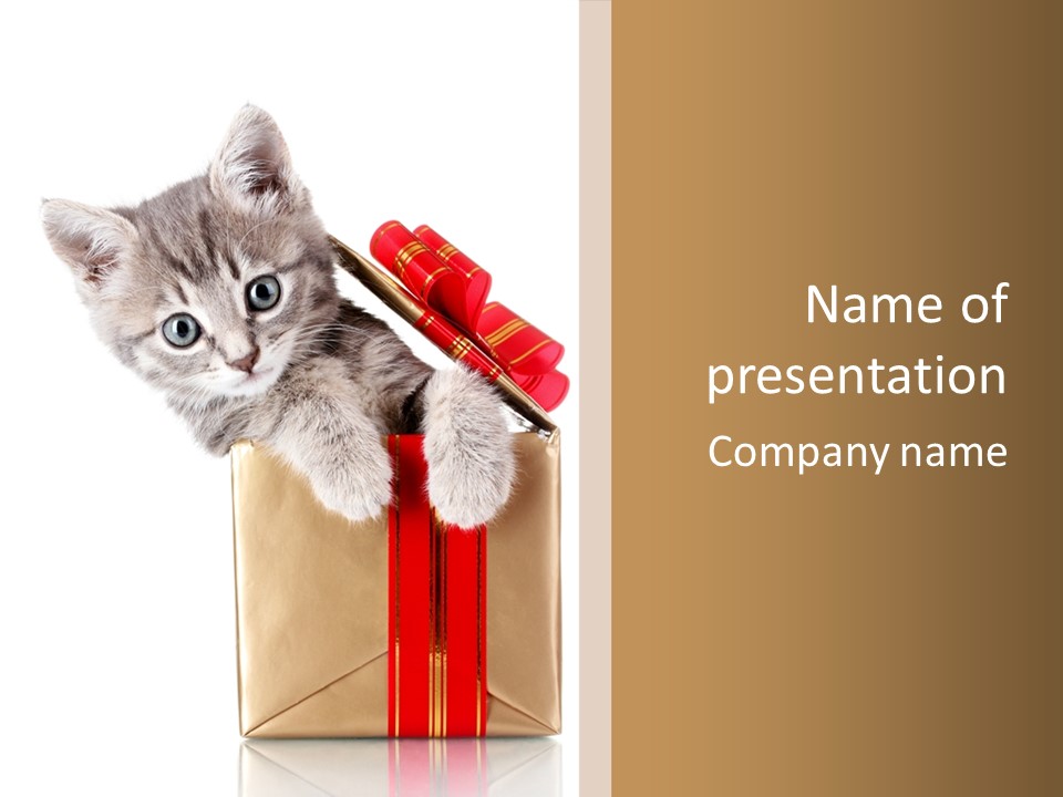 Holiday One Kitten PowerPoint Template