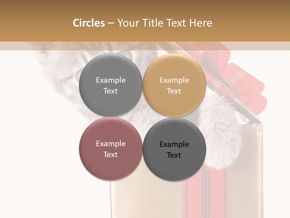 Holiday One Kitten PowerPoint Template