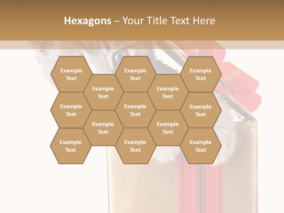 Holiday One Kitten PowerPoint Template