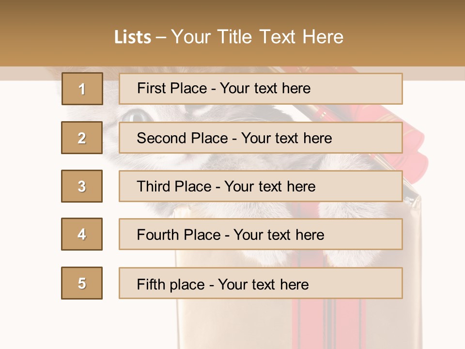 Holiday One Kitten PowerPoint Template