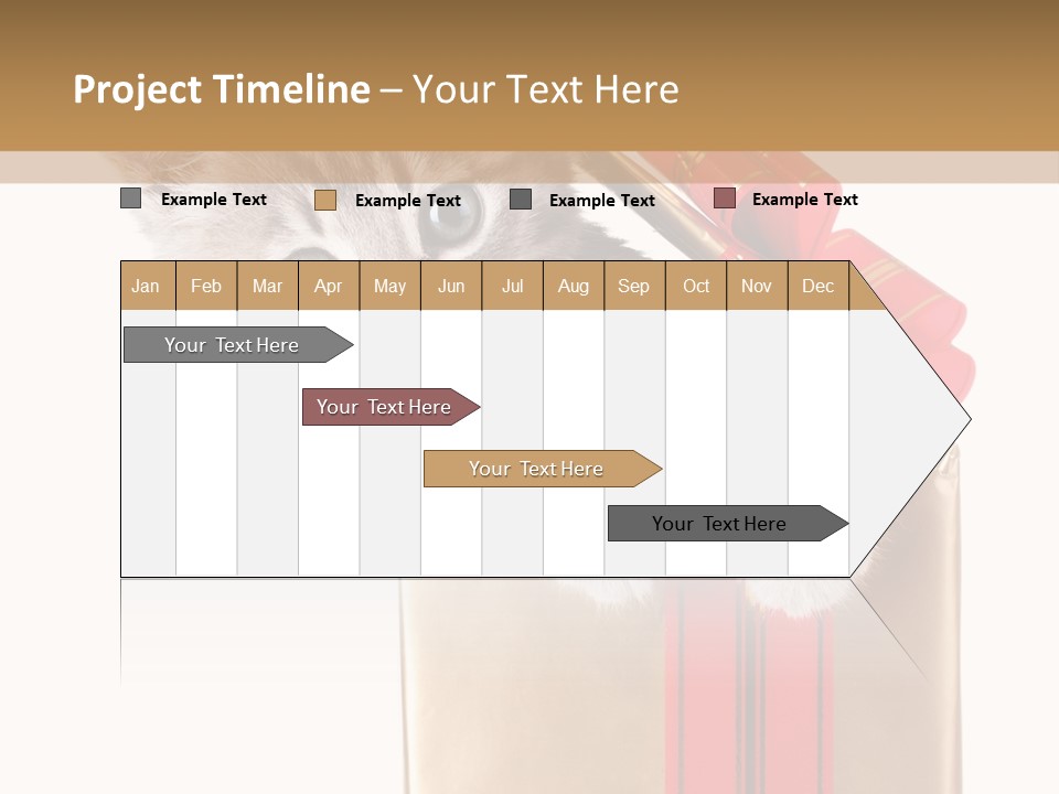 Holiday One Kitten PowerPoint Template