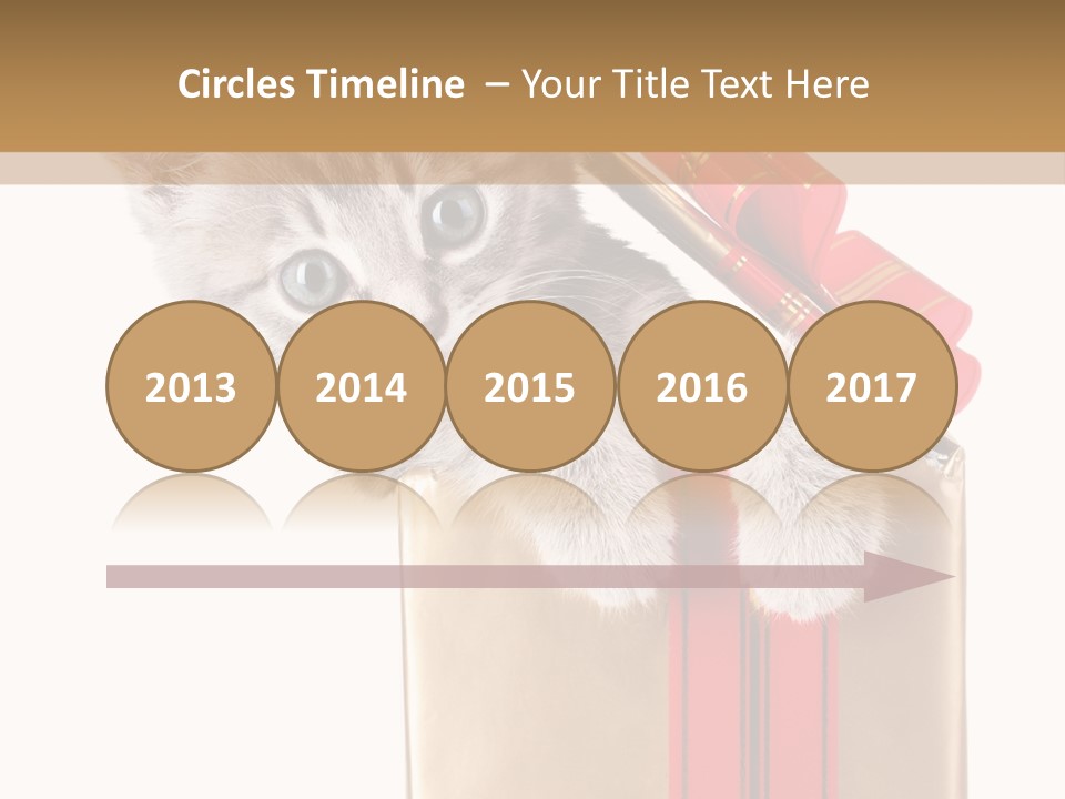 Holiday One Kitten PowerPoint Template