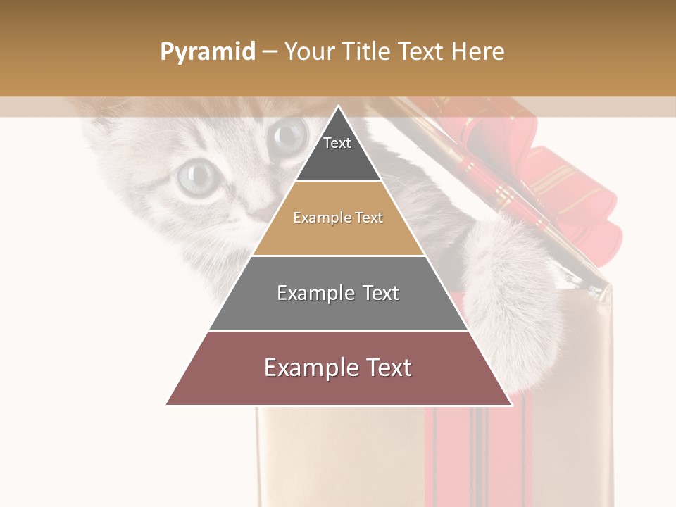 Holiday One Kitten PowerPoint Template