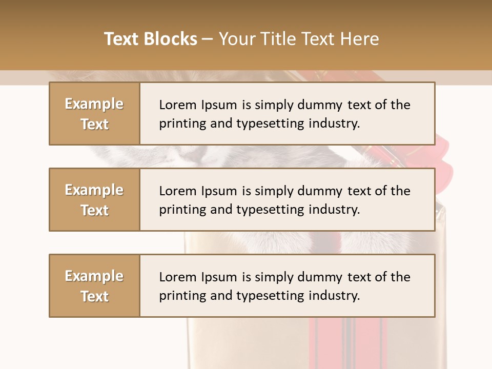 Holiday One Kitten PowerPoint Template