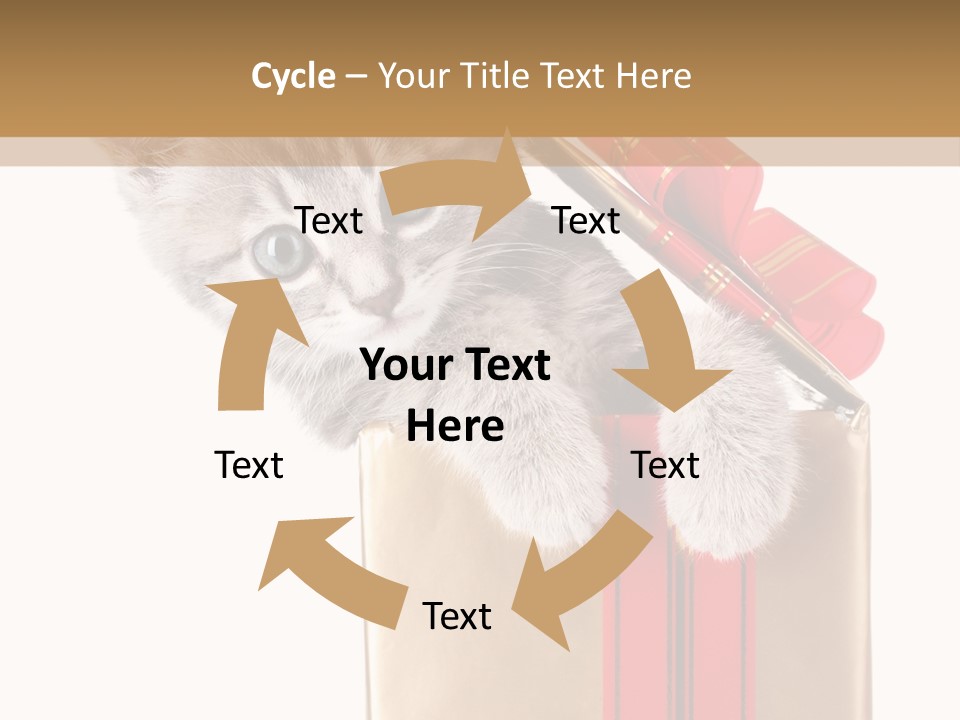 Holiday One Kitten PowerPoint Template