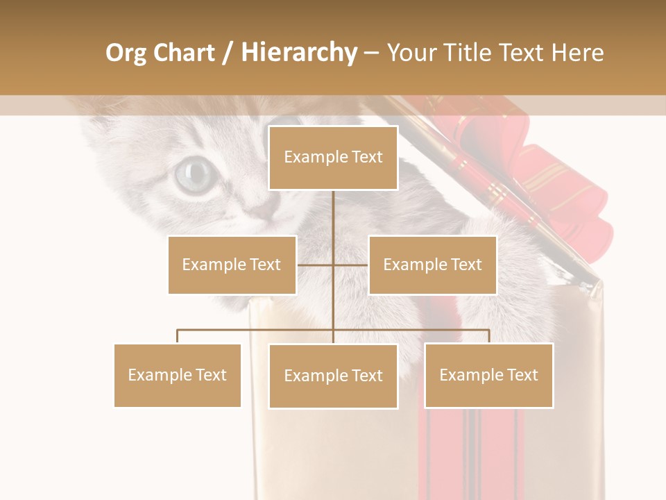 Holiday One Kitten PowerPoint Template