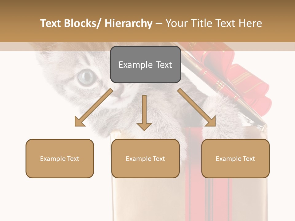 Holiday One Kitten PowerPoint Template