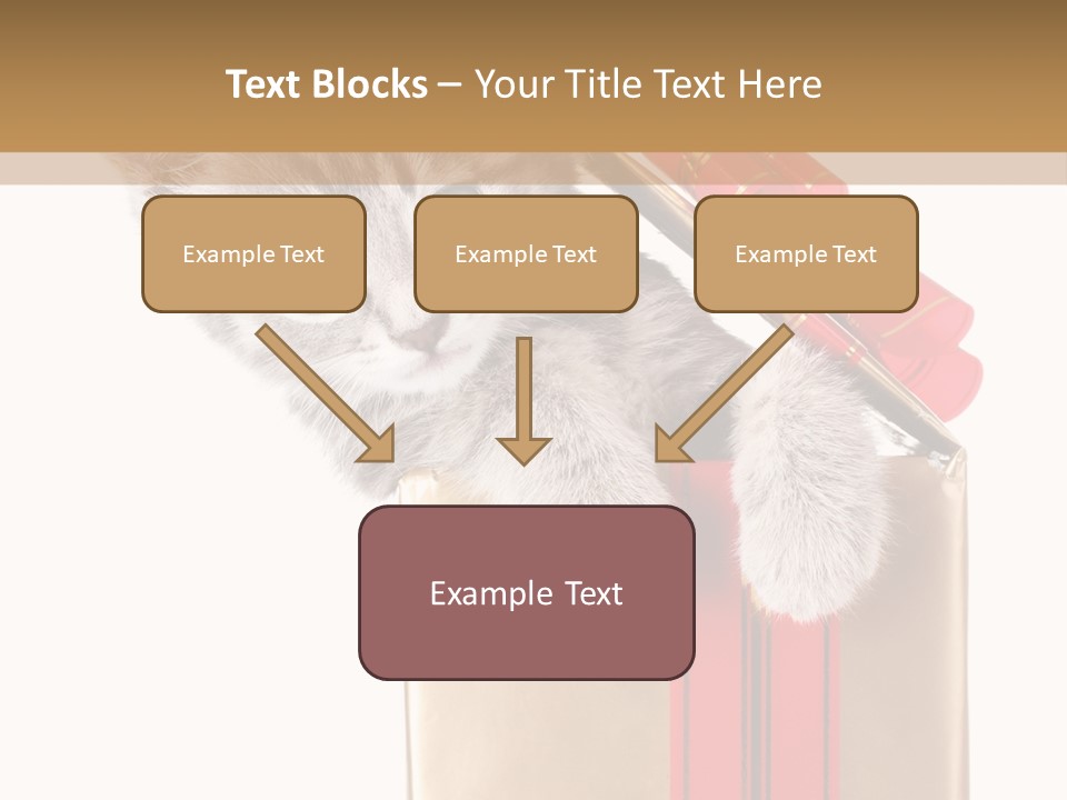 Holiday One Kitten PowerPoint Template