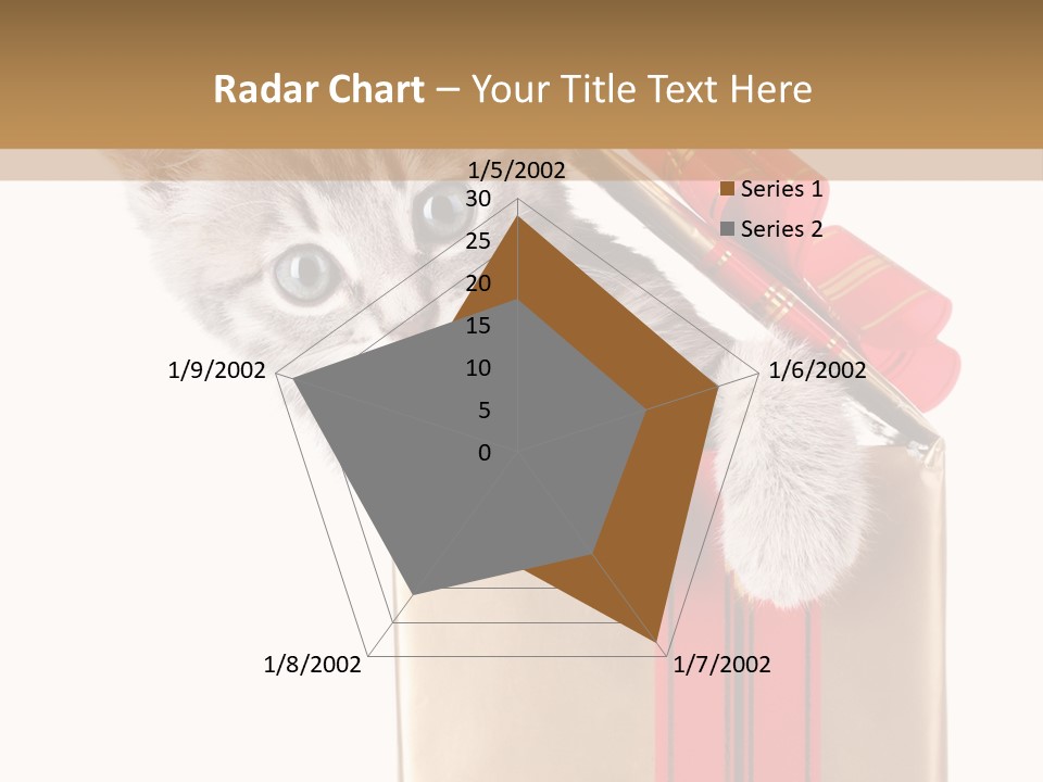 Holiday One Kitten PowerPoint Template