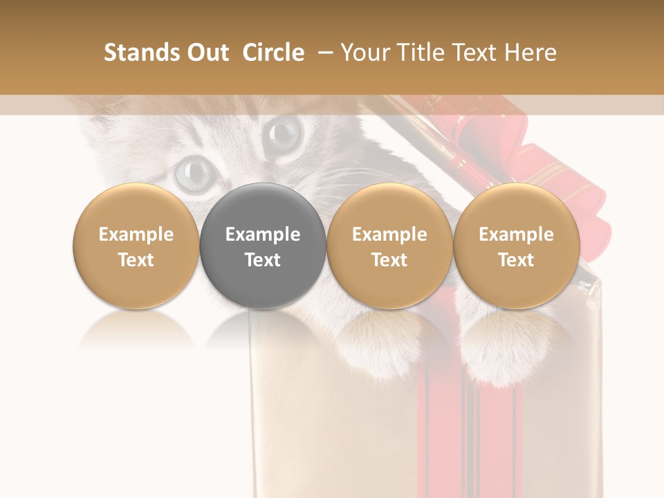 Holiday One Kitten PowerPoint Template