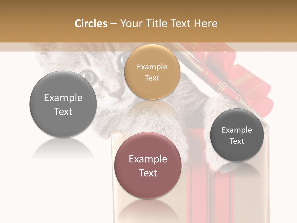 Holiday One Kitten PowerPoint Template