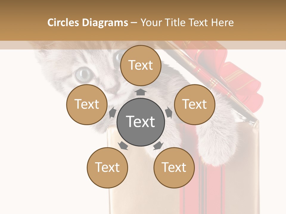 Holiday One Kitten PowerPoint Template