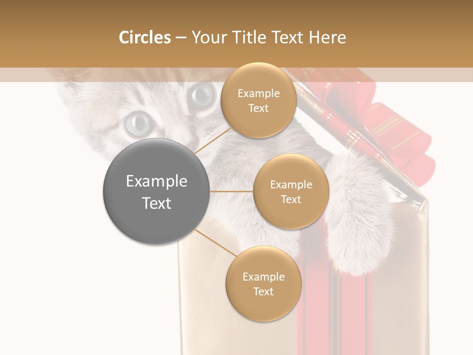 Holiday One Kitten PowerPoint Template