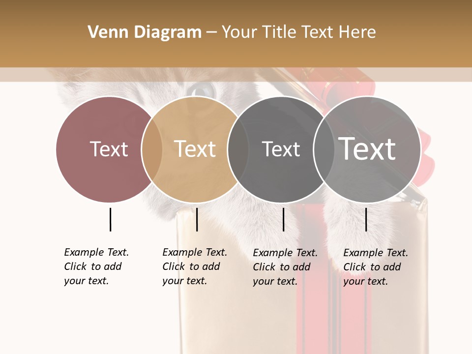 Holiday One Kitten PowerPoint Template