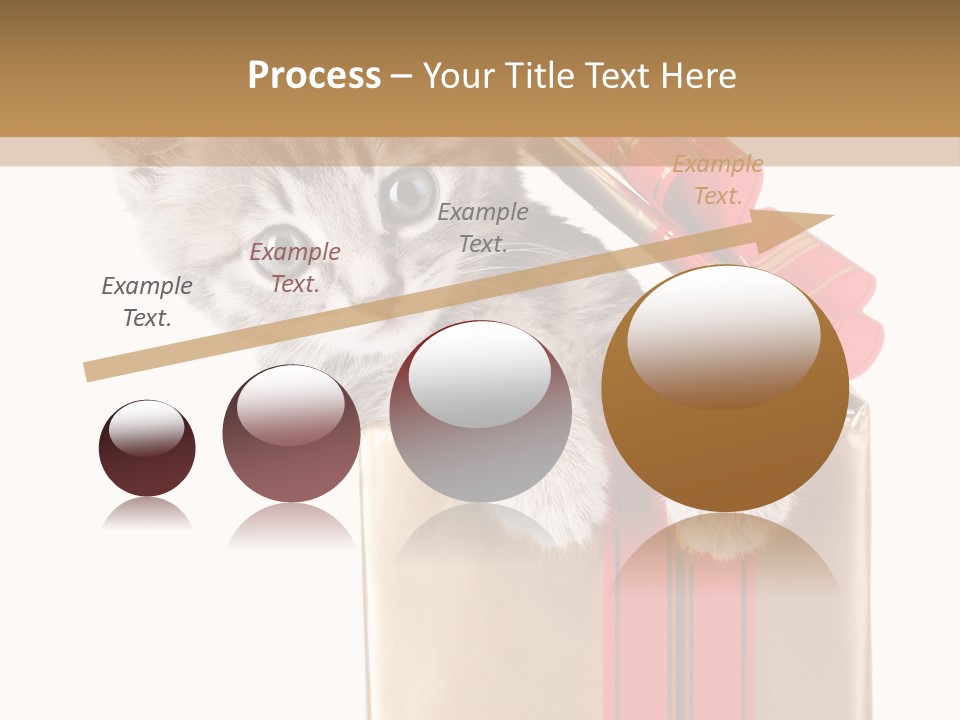 Holiday One Kitten PowerPoint Template