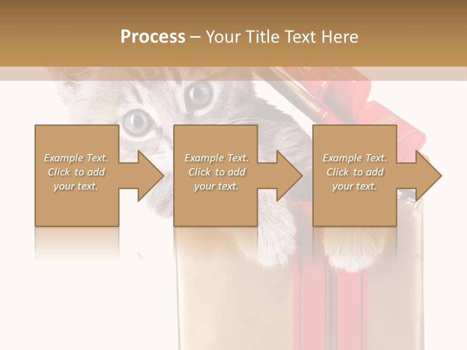 Holiday One Kitten PowerPoint Template