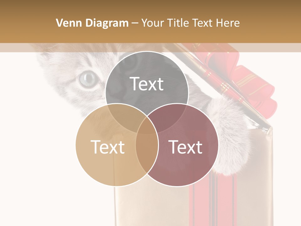 Holiday One Kitten PowerPoint Template