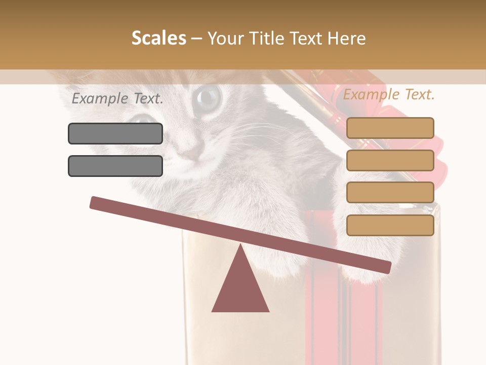 Holiday One Kitten PowerPoint Template