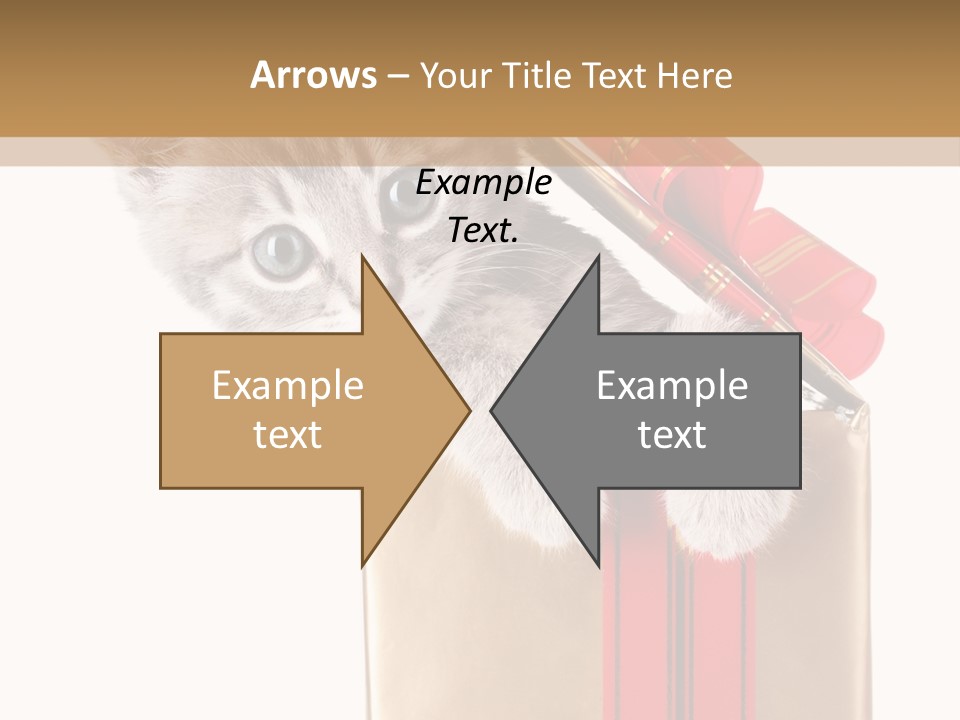 Holiday One Kitten PowerPoint Template