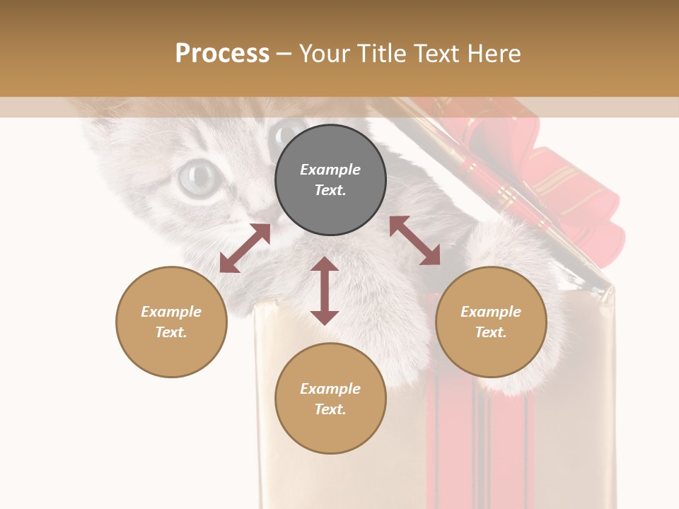 Holiday One Kitten PowerPoint Template