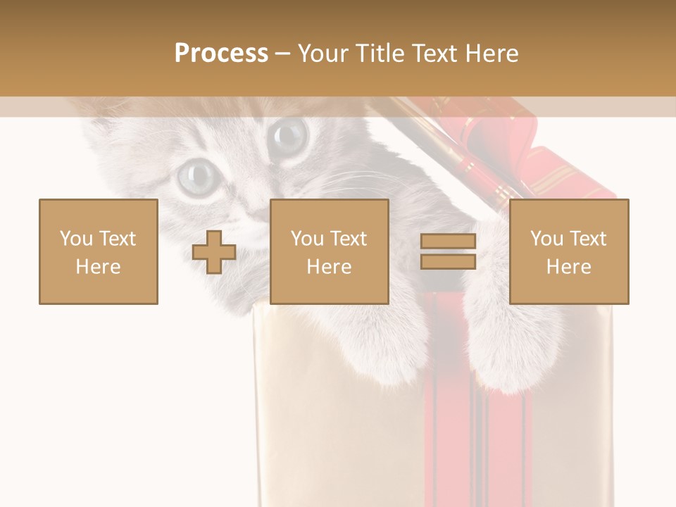 Holiday One Kitten PowerPoint Template