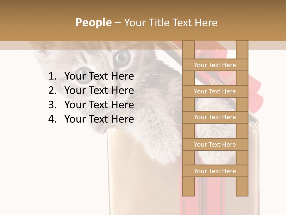 Holiday One Kitten PowerPoint Template