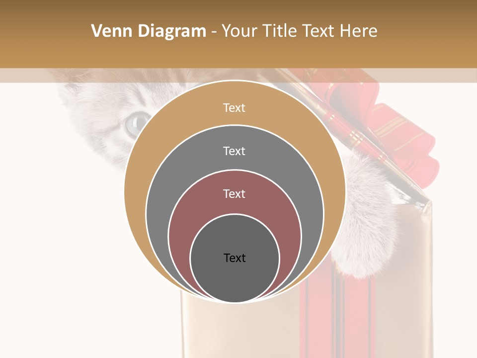 Holiday One Kitten PowerPoint Template