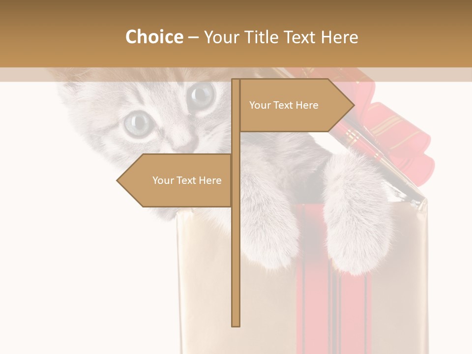 Holiday One Kitten PowerPoint Template