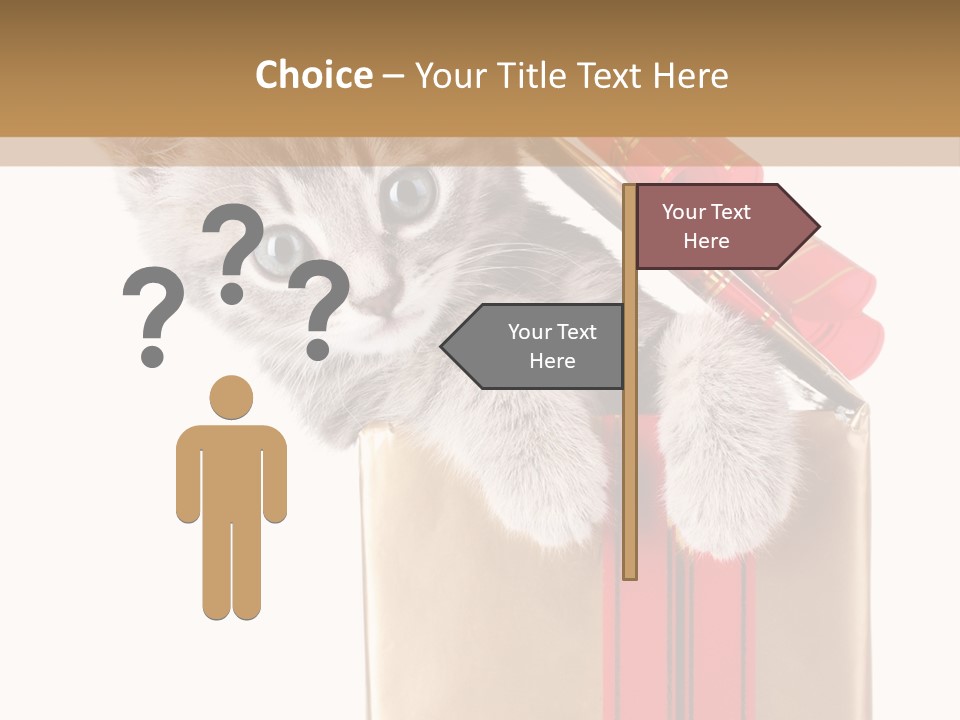 Holiday One Kitten PowerPoint Template