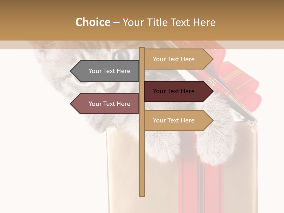 Holiday One Kitten PowerPoint Template