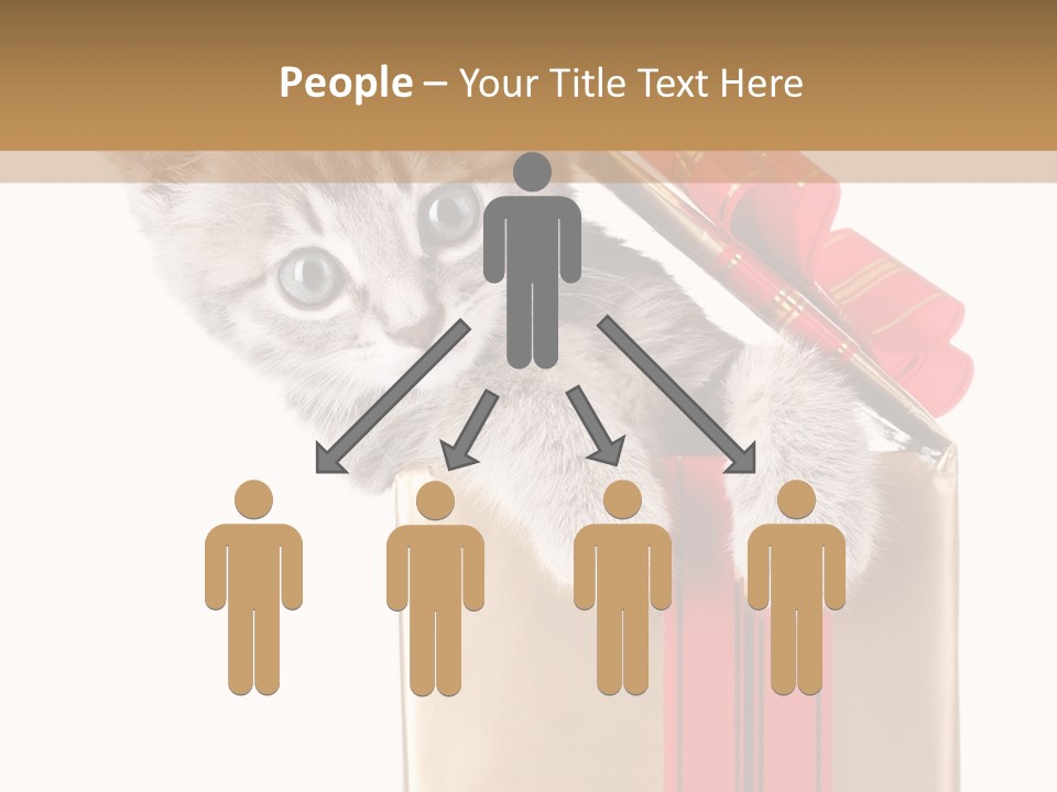 Holiday One Kitten PowerPoint Template