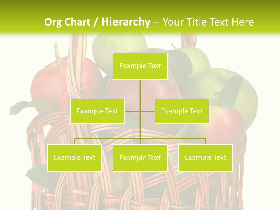 Citrus Nature Diet PowerPoint Template