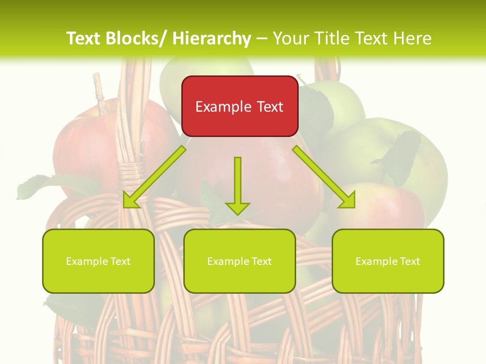 Citrus Nature Diet PowerPoint Template